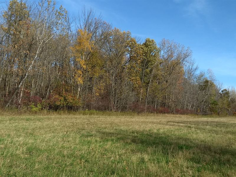 Wooded Acreage for Nature Lovers : Pinconning : Bay County : Michigan
