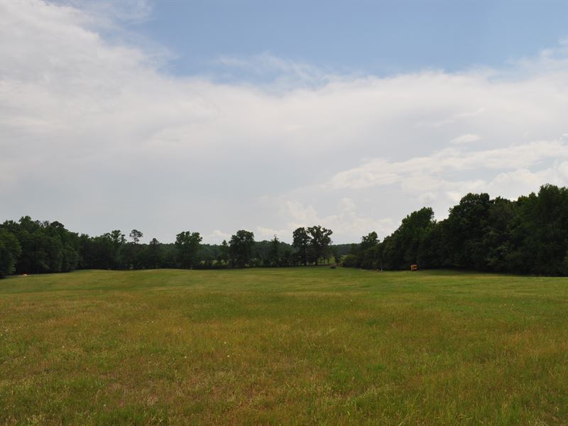 Long Meadow : Greensboro : Greene County : Georgia