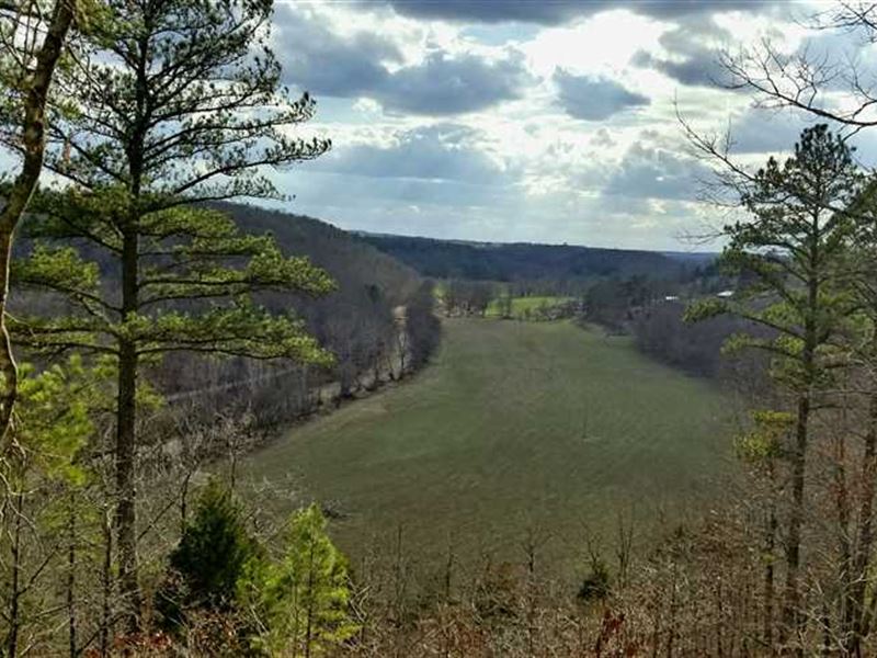 3/2 Home with 199 Acres on Spring : Wasola : Ozark County : Missouri