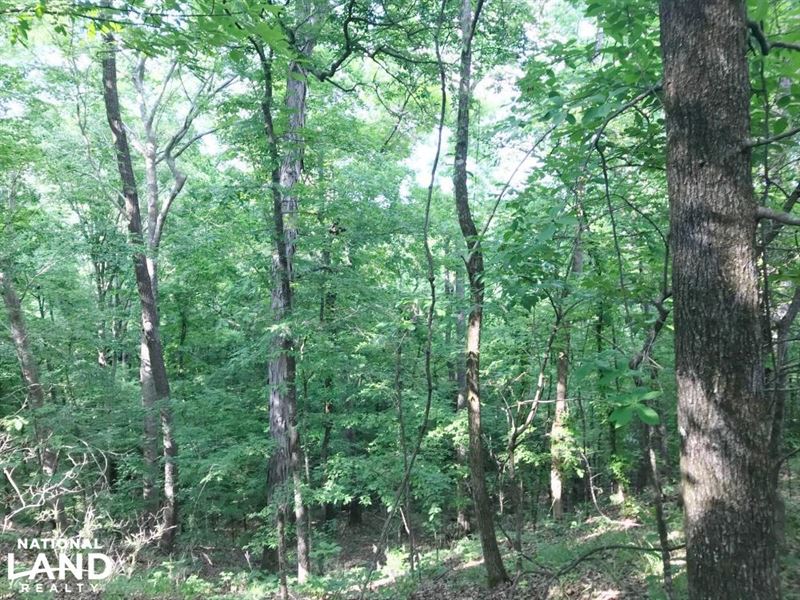 Fosters Waterfront Homesites : Fosters : Tuscaloosa County : Alabama