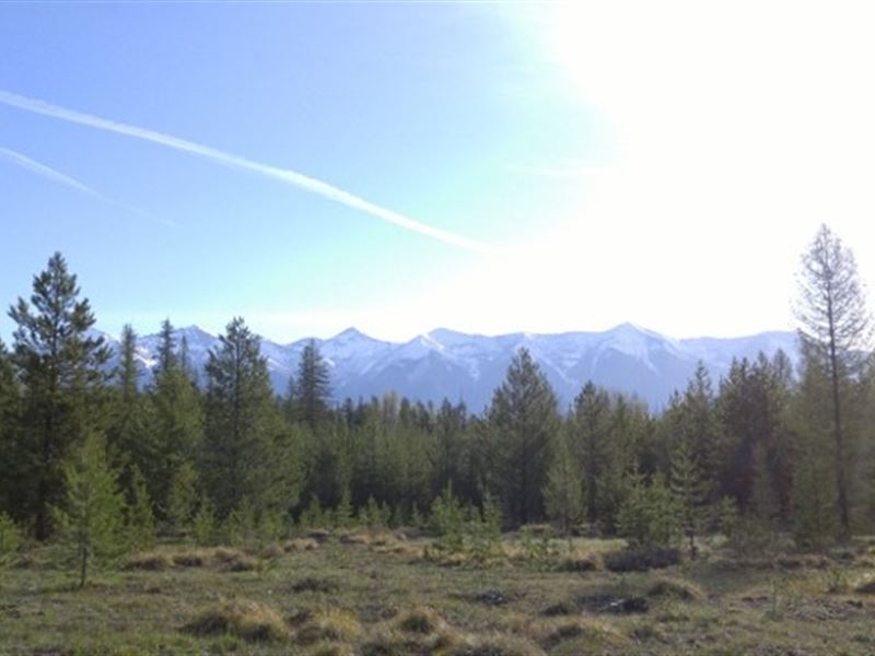 Elk Creek Preserve Lot 4 : Condon : Missoula County : Montana