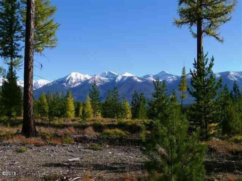 Elk Creek Preserve : Condon : Missoula County : Montana