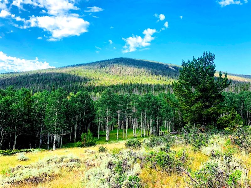 Green Mountain Retreat : Encampment : Carbon County : Wyoming