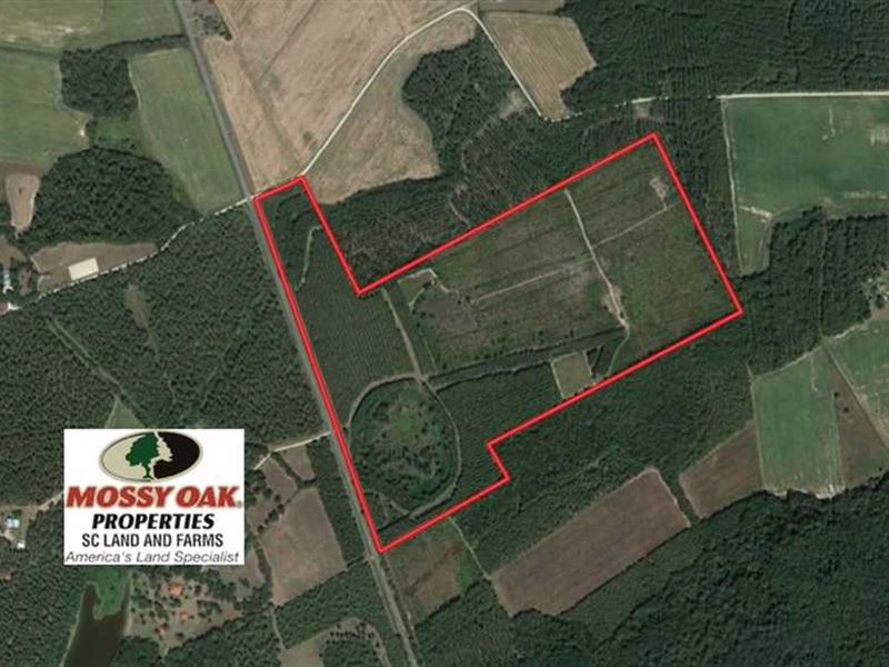 110 Acres of Recreational Land For : Rembert : Kershaw County : South Carolina