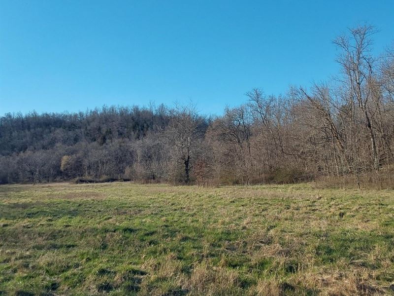 859 Acres Dent CO Will Divide to bu : Gladden : Dent County : Missouri