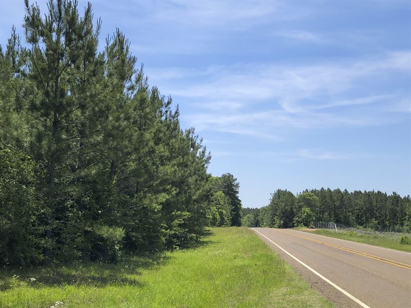 985 Ac Fm 2991 : South Toledo Bend : Newton County : Texas