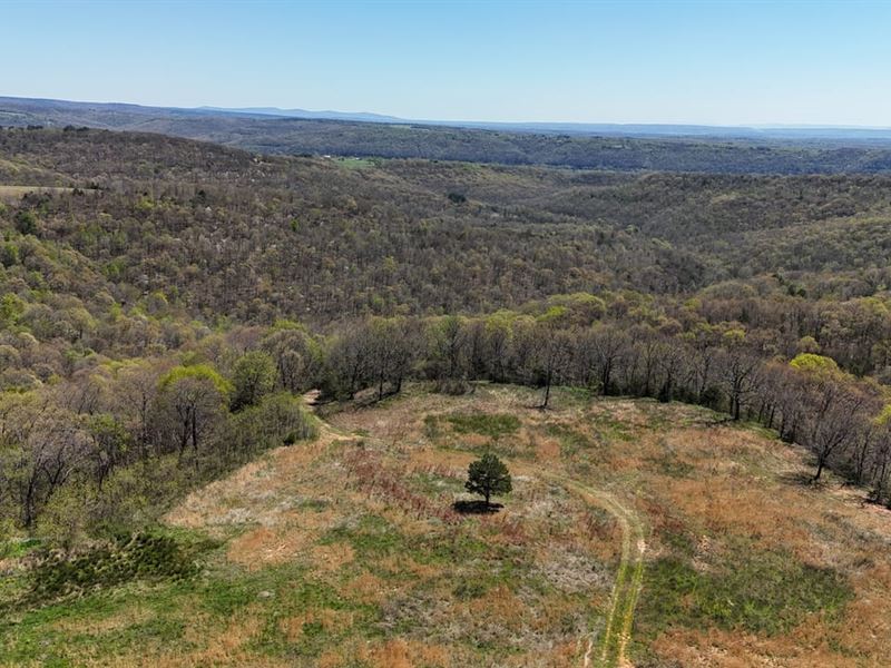 Haggard Trail Paradise : Mountainburg : Crawford County : Arkansas