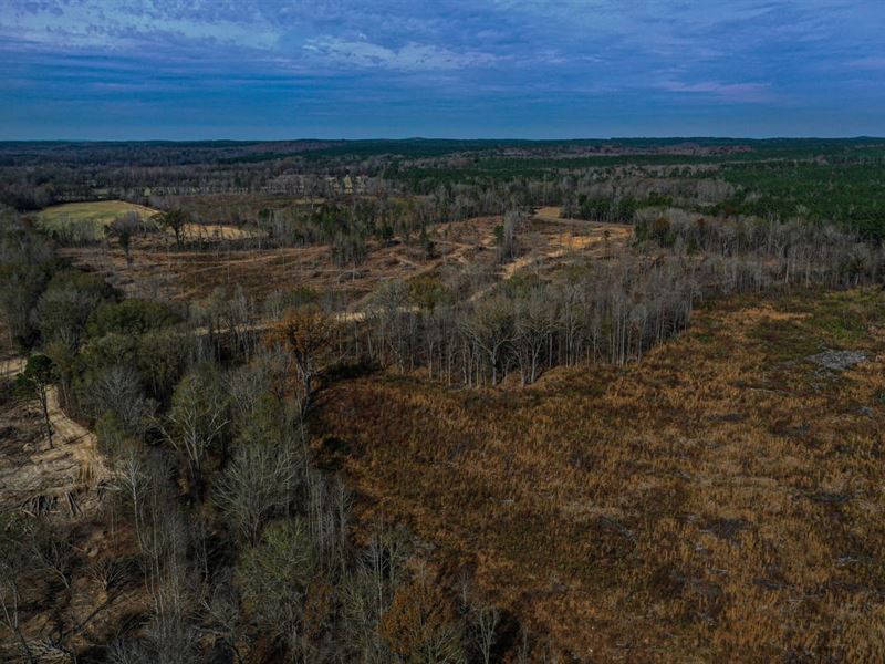 Webster County 125.59 Acres : Eupora : Webster County : Mississippi