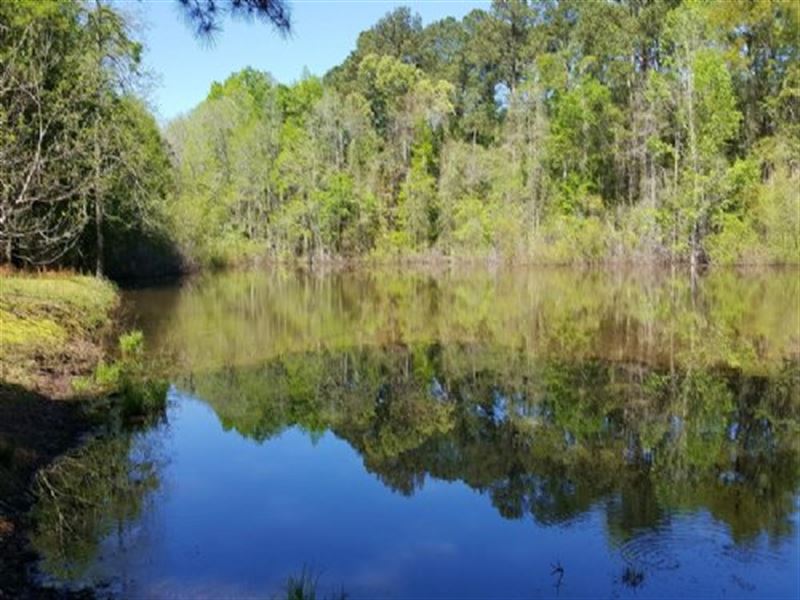 Pond with Beautiful Mature Timber : Fort Valley : Peach County : Georgia