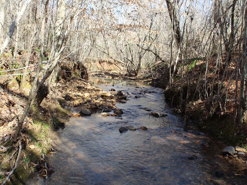 Beautiful Pines, Creek, Lower Price : Roanoke : Randolph County : Alabama