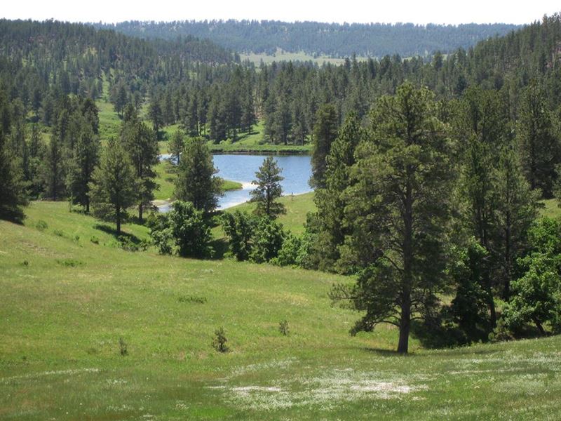 Spring Creek Ranch, Ranch for Sale in Wyoming, 150605 RANCHFLIP