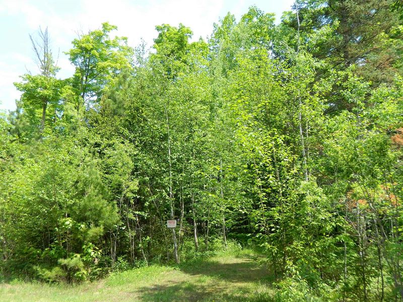 Buildable Vacant Land : Ojibwa : Sawyer County : Wisconsin