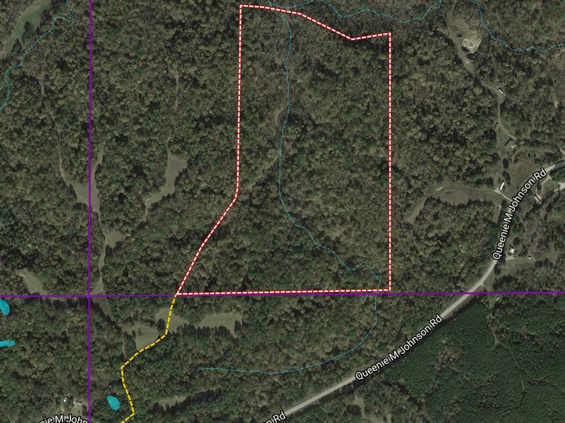 The Rim 78 : Lexington : Holmes County : Mississippi