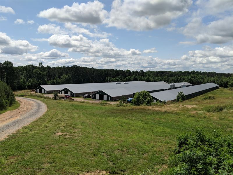 Sold-Timber Ranch Poultry Farm : Chatsworth : Murray County : Georgia