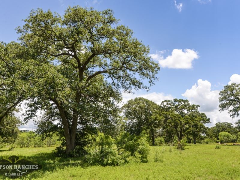 Live Oak Creek Ranch : Flatonia : Fayette County : Texas