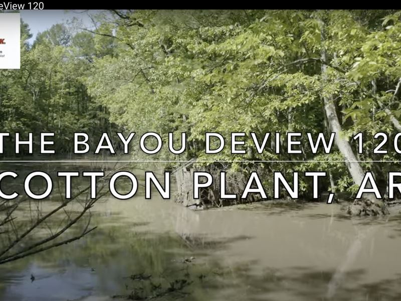 120 Acres with Bayou Deview Going : Cotton Plant : Monroe County : Arkansas