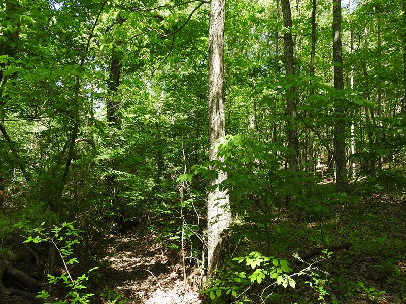 1050.79 Ac Griffin Rd W/Rail Frtge : Cartersville : Bartow County : Georgia