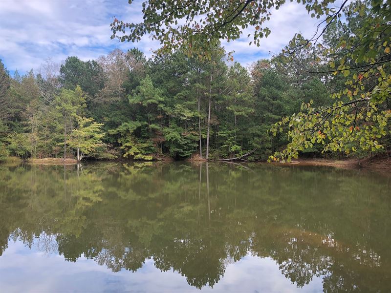 195.62 +/ Acres, Bartow County, Ranch for Sale in 151091 RANCHFLIP