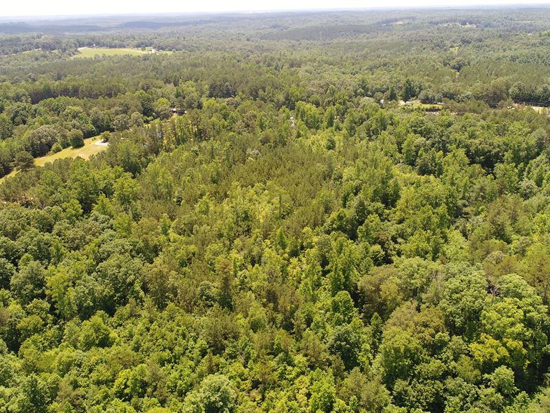 Waterfall, Cave, Mountain Views : Walhalla : Oconee County : South Carolina