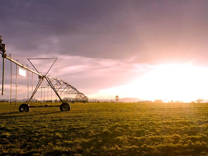 16th Street Farm : Wheatland : Platte County : Wyoming