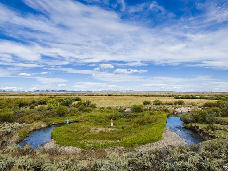The Cottonwood : Daniel : Sublette County : Wyoming