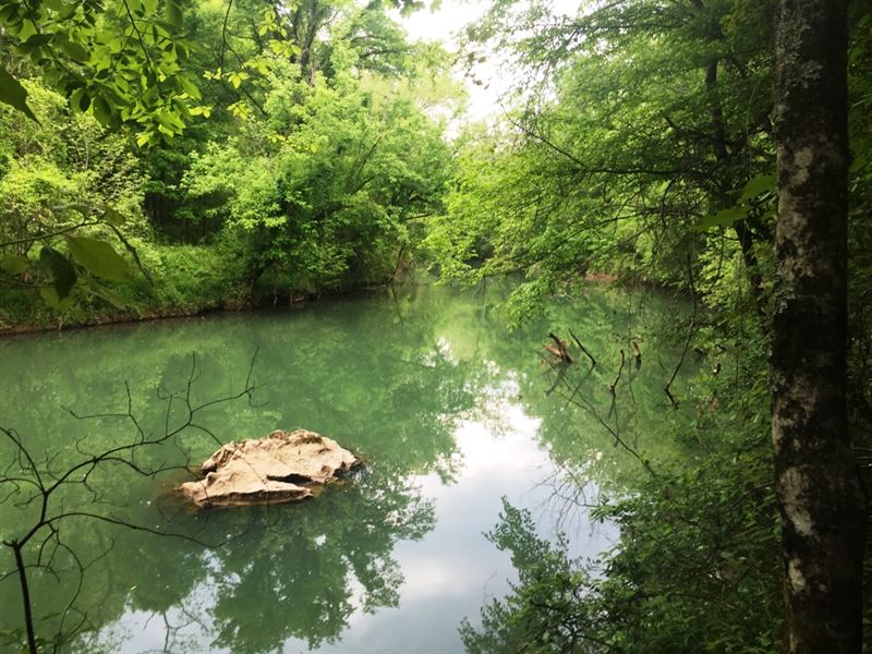 Sewee Creek South Tract : Decatur : Meigs County : Tennessee