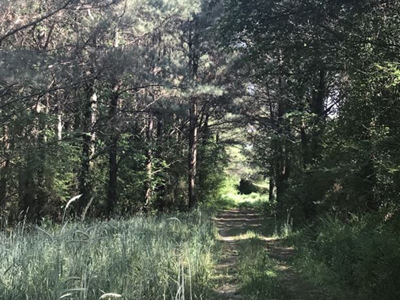 Recreation Tract in Cullman County : Cullman : Cullman County : Alabama
