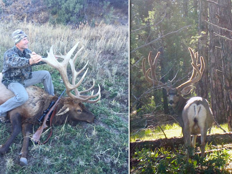 Saruche Canyon Ranch : Trinidad : Las Animas County : Colorado