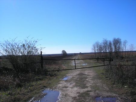 2040 Acs Farmland / Ranch : Kinder : Allen Parish : Louisiana