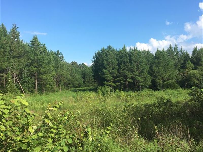 Recreational Tract in Scottsboro : Scottsboro : Jackson County : Alabama