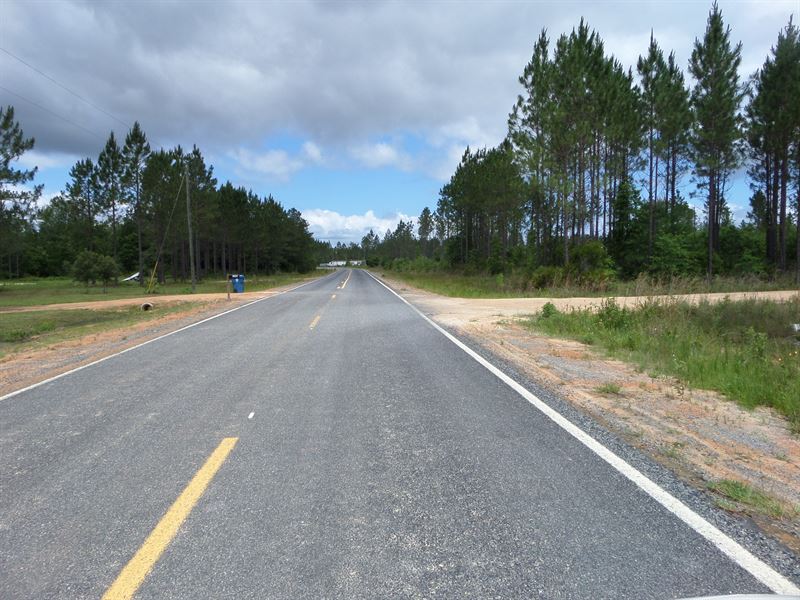 Homesite/Timberland Mt Pleasant Rd : Jesup : Wayne County : Georgia