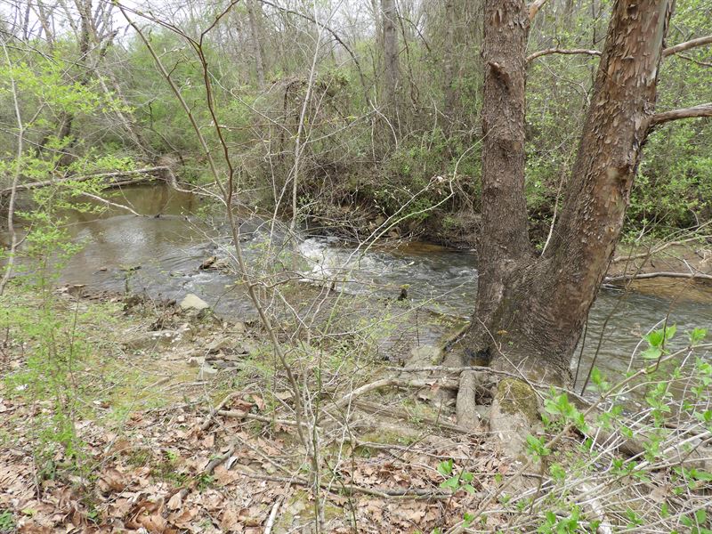 Hwy 61 West : Villa Rica : Carroll County : Georgia