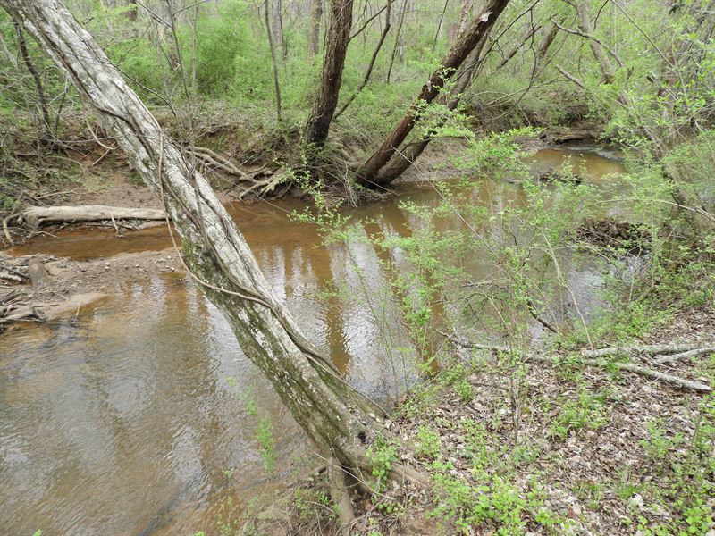 Hwy 61 East : Villa Rica : Douglas County : Georgia