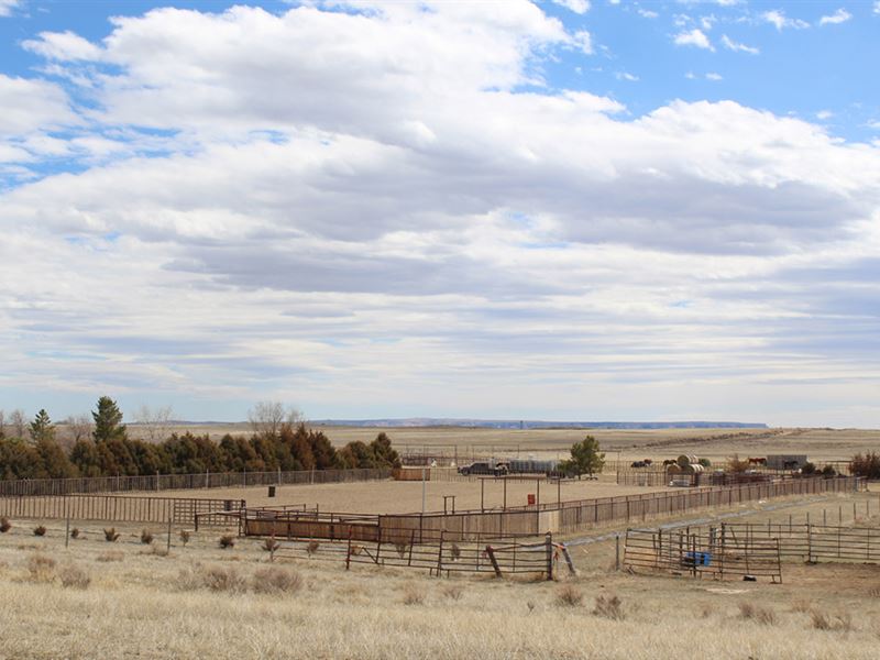 Yoder Horse Property : Yoder : Goshen County : Wyoming