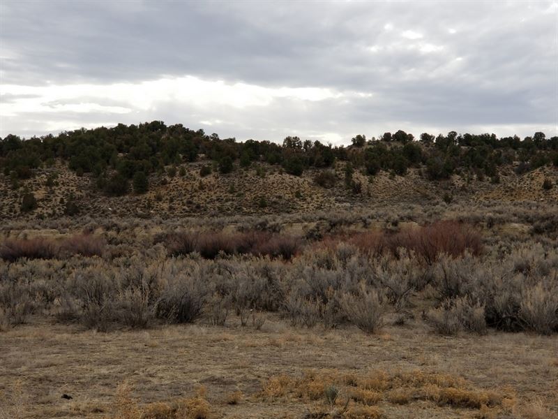 State Line Ranch : Rangely : Rio Blanco County : Colorado