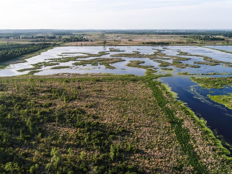 Premier Duck Hunting Property : Berlin : Waushara County : Wisconsin