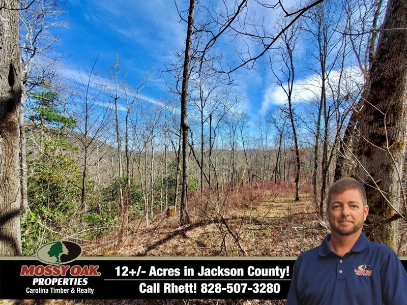 9 Acres Robinson Creek Road : Glenville : Jackson County : North Carolina