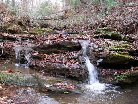 Well Mountain Tract : Westminster : Oconee County : South Carolina