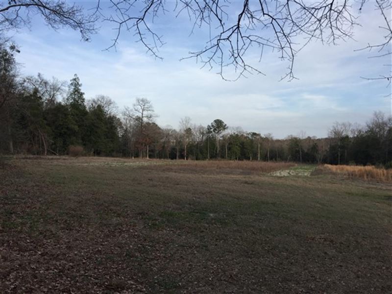 21.49 Acres, Lexington County, Sc : Batesburg-Leesville : Lexington County : South Carolina