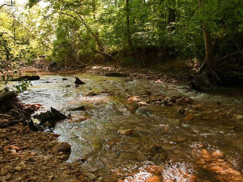 Gum Creek Tract : Roopville : Heard County : Georgia