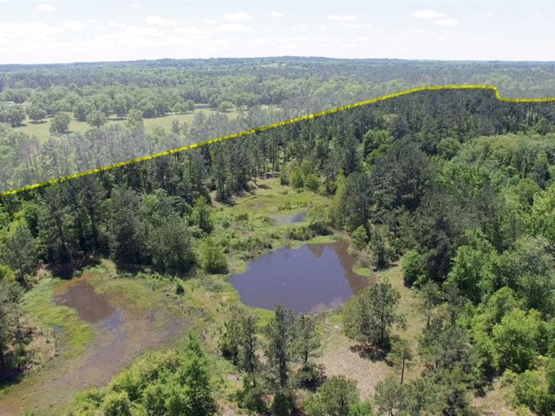74 Acres Rosenwall Road : Huntsville : Walker County : Texas