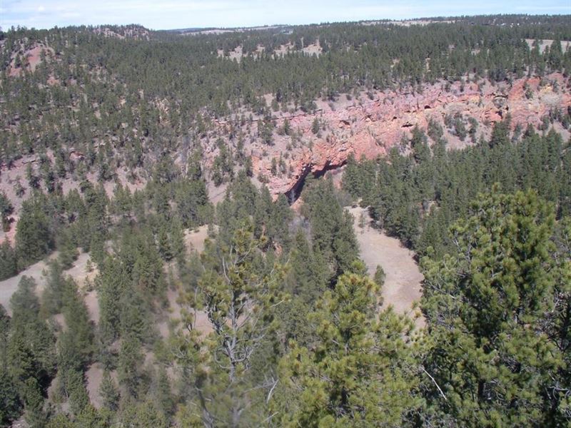 Red Canyon Rim Property : Custer : Custer County : South Dakota
