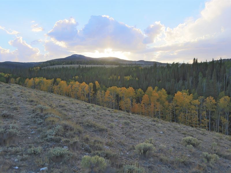 Encampment Ranch, Ranch for Sale in Wyoming, 152558 RANCHFLIP