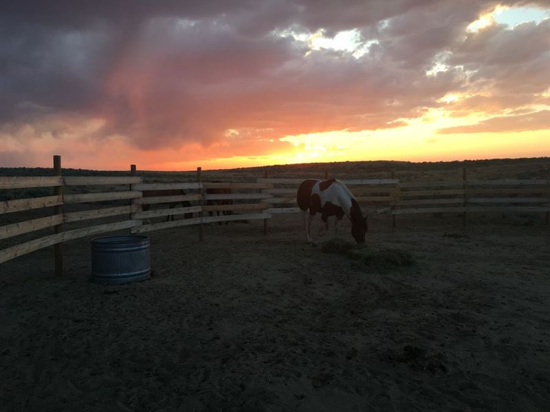 Romeo Road : Casper : Natrona County : Wyoming