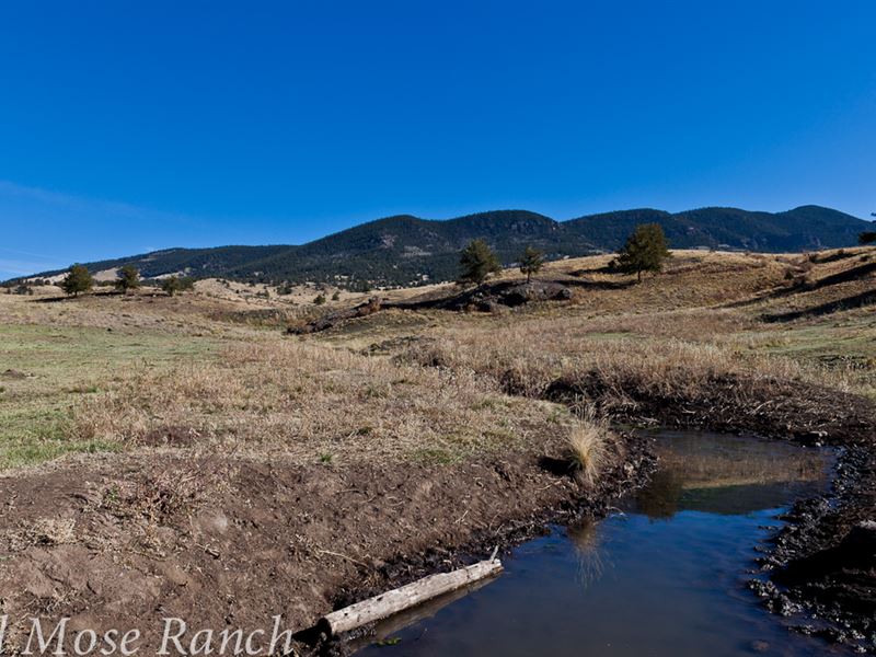 Old Mose Ranch : Guffey : Park County : Colorado