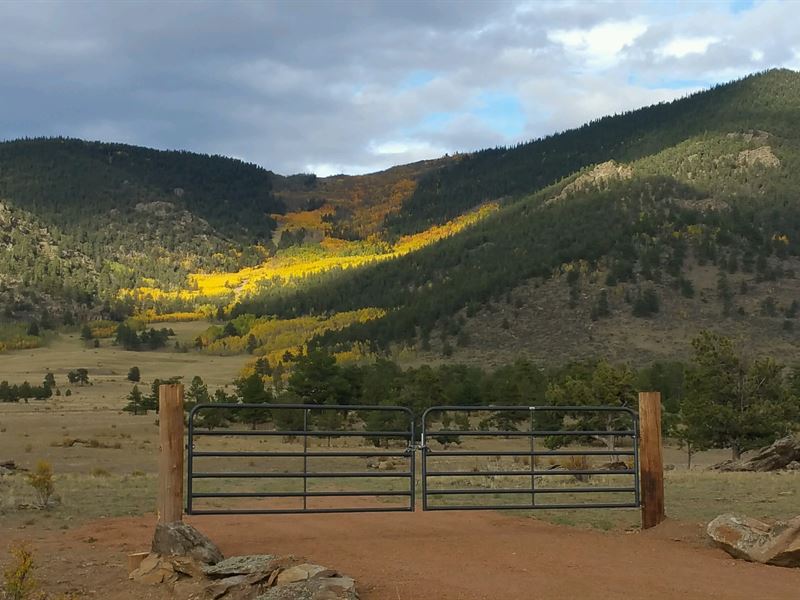 Wilkerson Pass : Lake George : Park County : Colorado