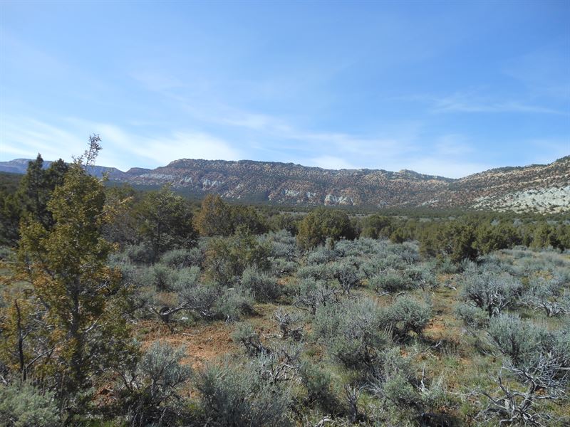 Skull Creek Ranch : Dinosaur : Moffat County : Colorado