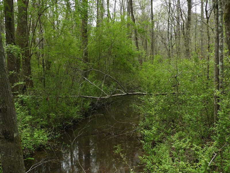 Providence Church Road : Newnan : Coweta County : Georgia