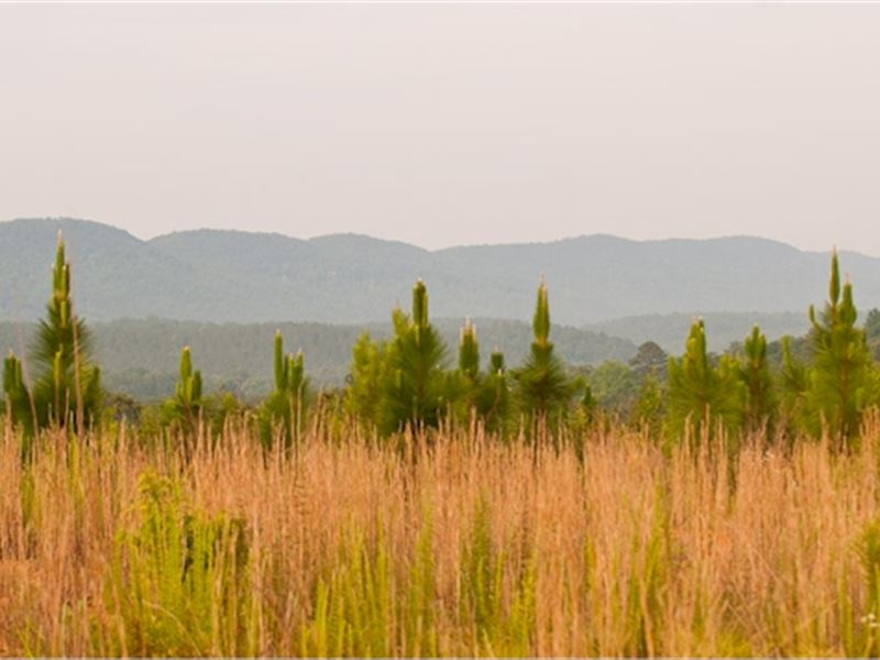 Bogan Mtn. View : Summerville : Chattooga County : Georgia