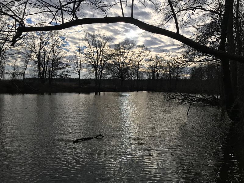 The River Refuge : Georgetown : White County : Arkansas